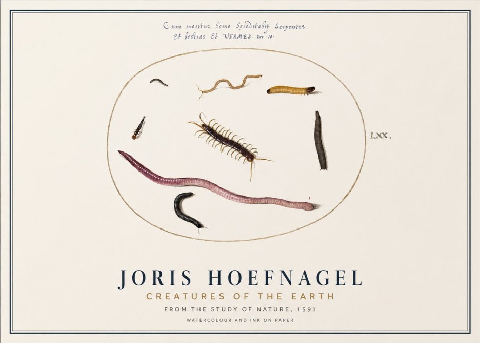 Joris Hoefnagel Creatures of the Earth II No1 - Plakát