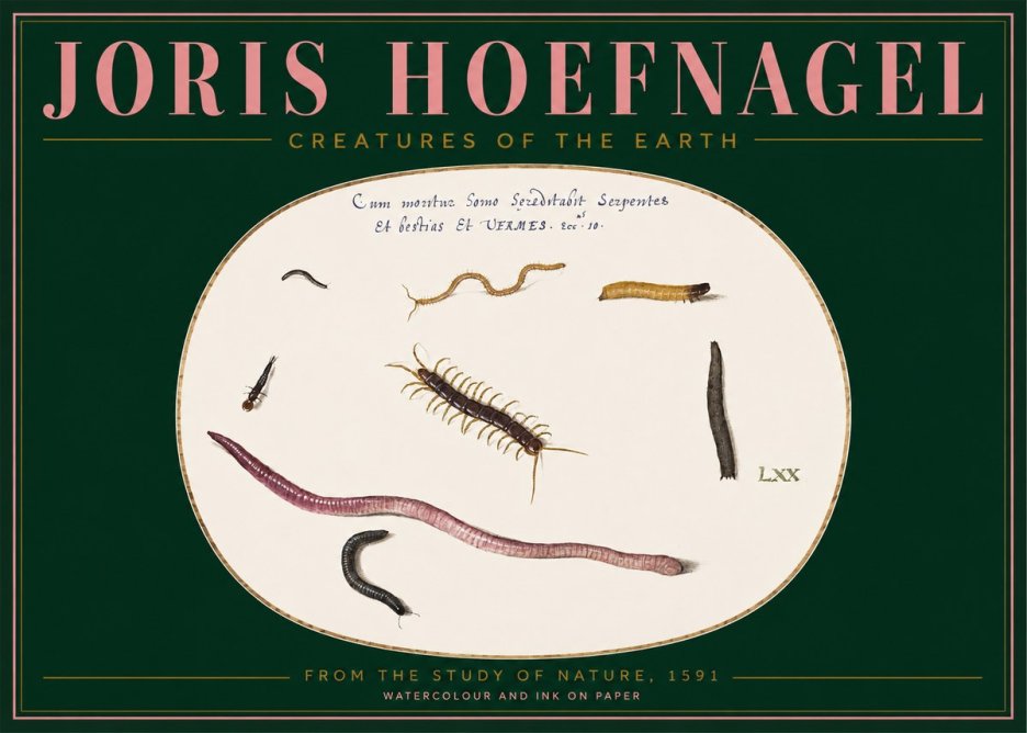 Joris Hoefnagel Creatures of the Earth II No2 - Plakát