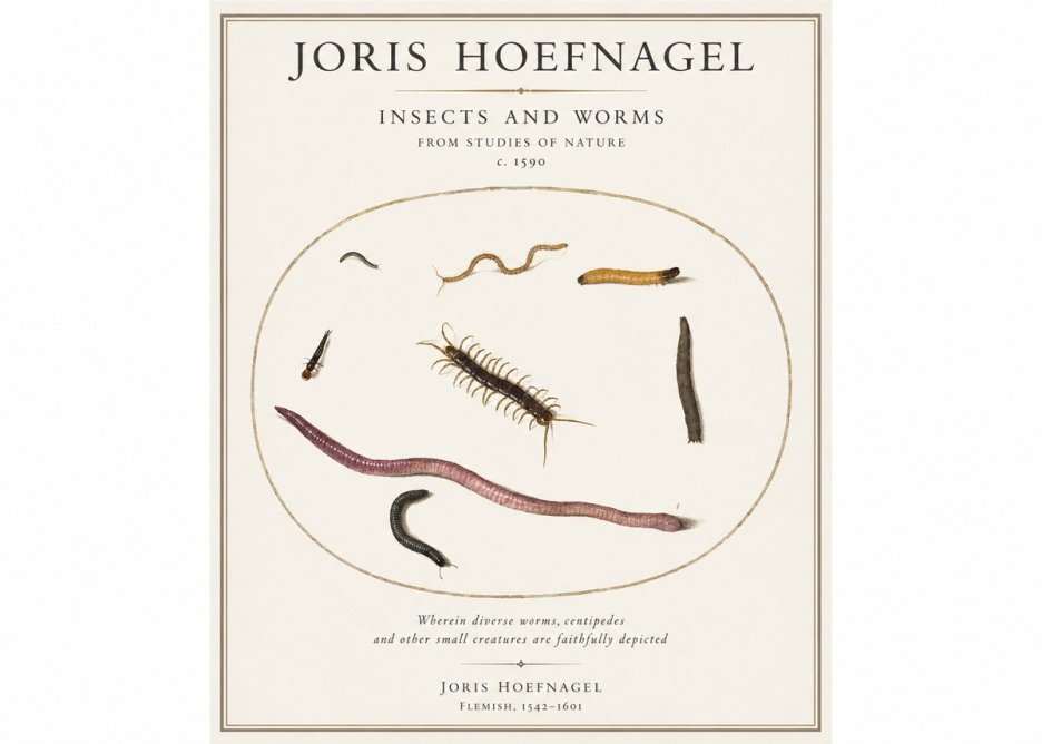 Joris Hoefnagel Creatures of the Earth II No5 - Plakát