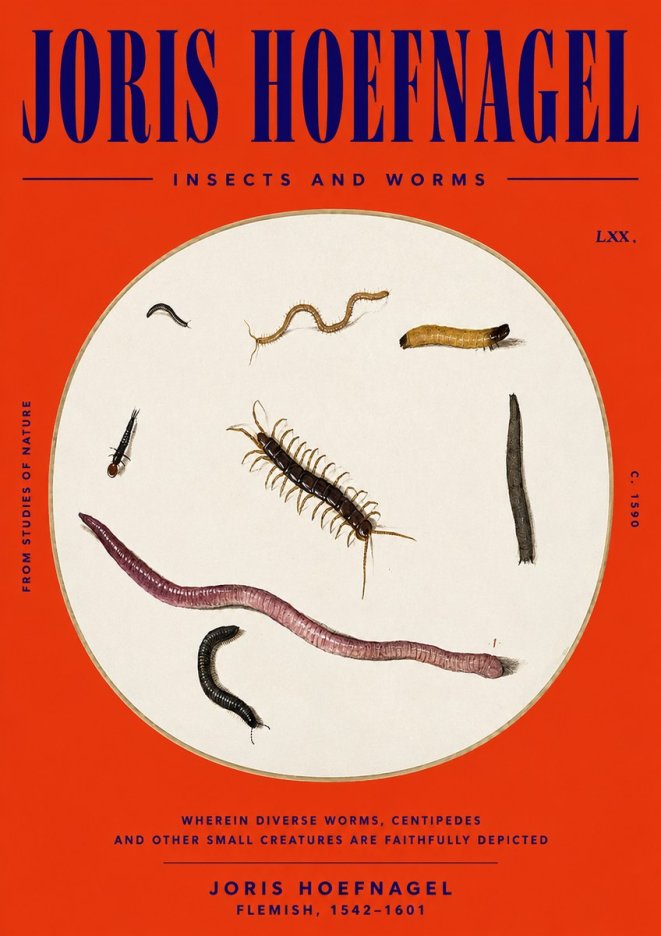 Joris Hoefnagel Creatures of the Earth II No6 - Plakát