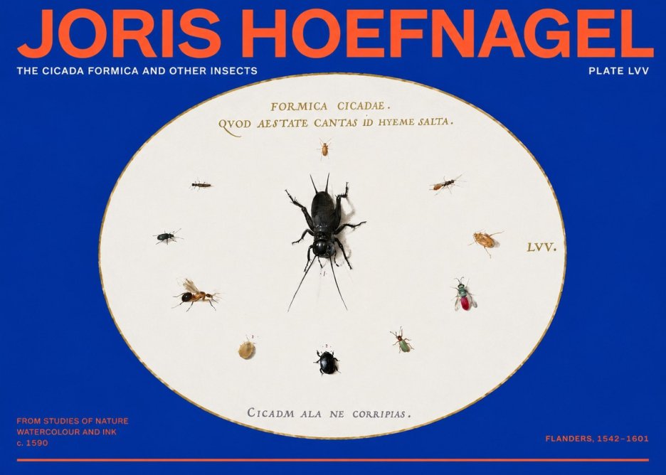 Joris Hoefnagel Formica Cicadae No6 - Plakát