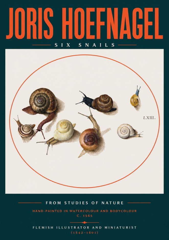 Joris Hoefnagel Six Snails No2 - Plakát