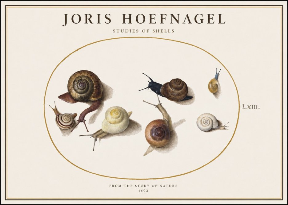 Joris Hoefnagel Six Snails No4 - Plakát