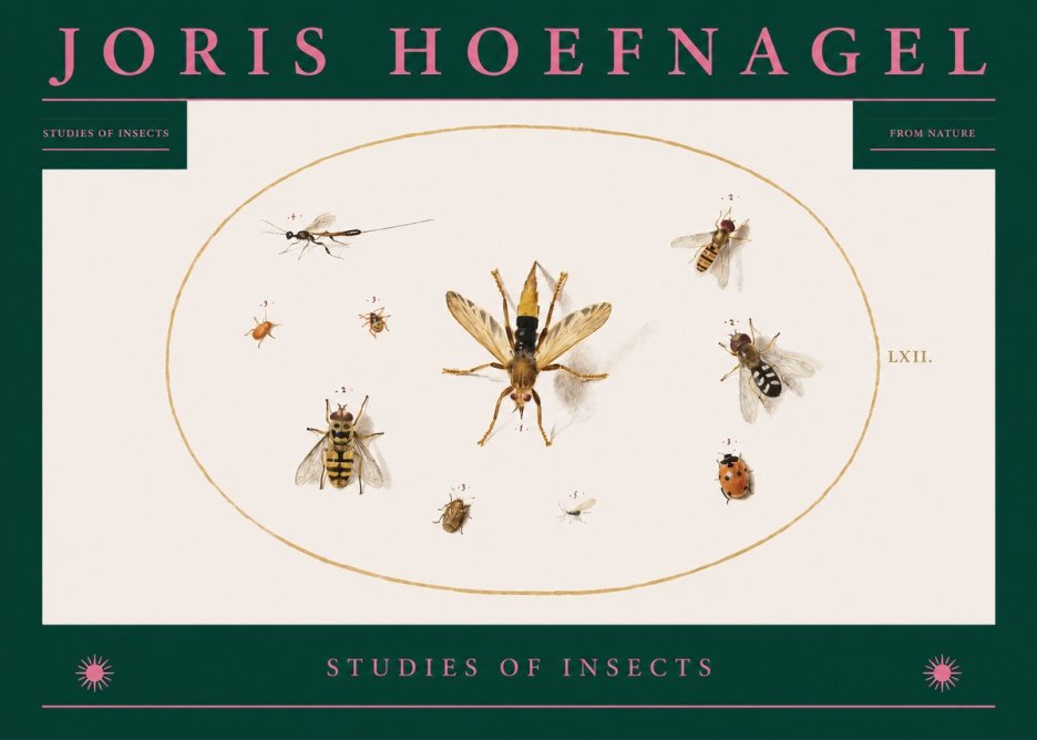 Joris Hoefnagel Studies of Insects IV No2 - Plakát
