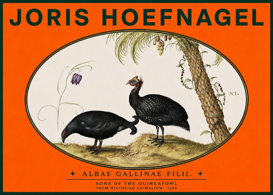 Joris Hoefnagel Albae Gallinae Filii. No3 - Plakát