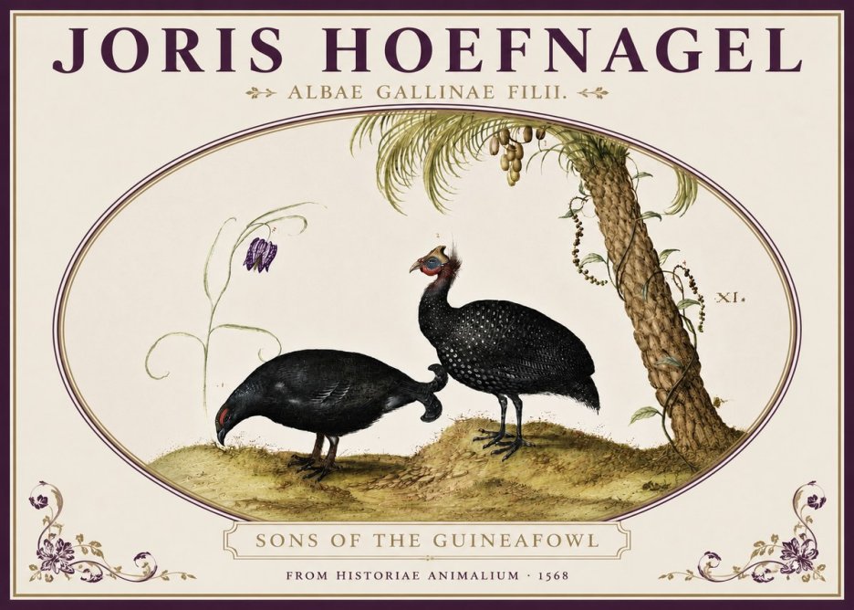 Joris Hoefnagel Albae Gallinae Filii. No4 - Plakát