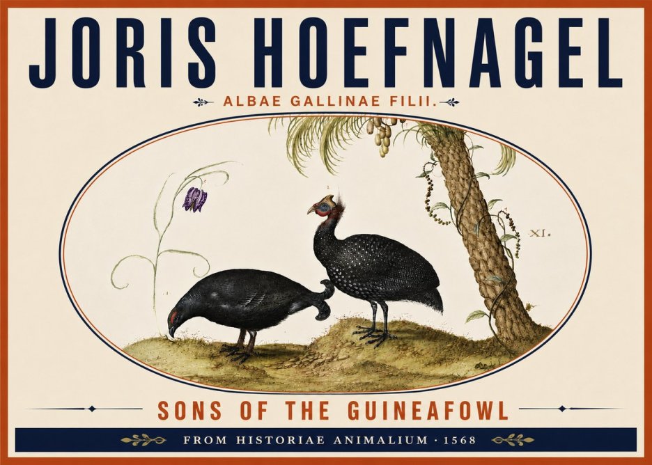 Joris Hoefnagel Albae Gallinae Filii. No6 - Plakát