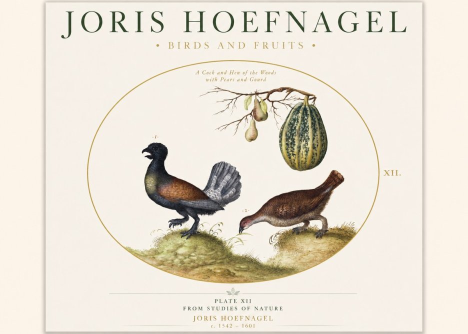 Joris Hoefnagel A Cock and Hen of the Woods with Pears and Gourd No1 - Plakát