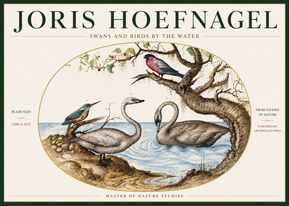 Joris Hoefnagel Swans and Birds by the Water No3 - Plakát