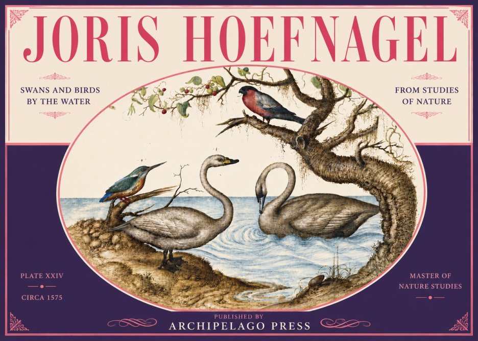Joris Hoefnagel Swans and Birds by the Water No6 - Plakát