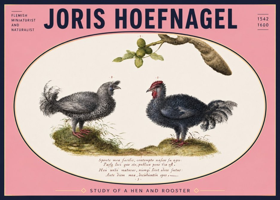 Joris Hoefnagel Study of a Hen and Rooster No5 - Plakát
