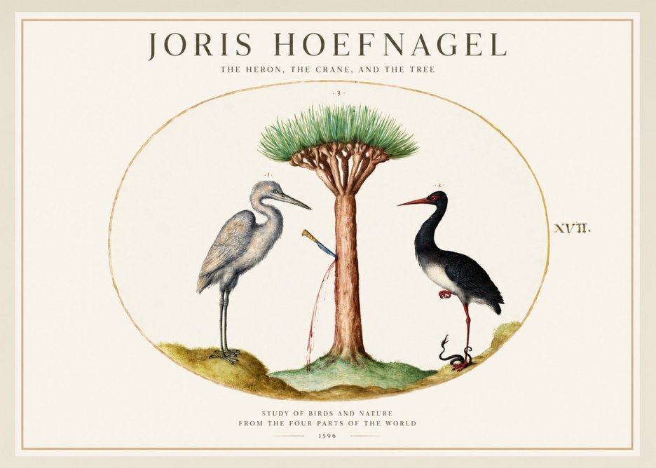 Joris Hoefnagel The Heron, the Crane, and the Tree No1 - Plakát