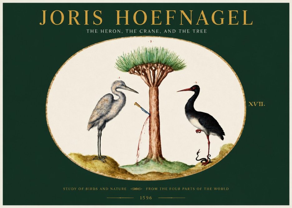 Joris Hoefnagel The Heron, the Crane, and the Tree No2 - Plakát
