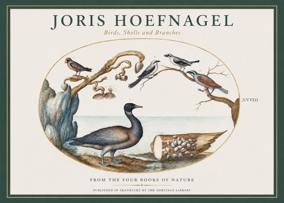 Joris Hoefnagel Birds, Shells and Branches No1 - Plakát