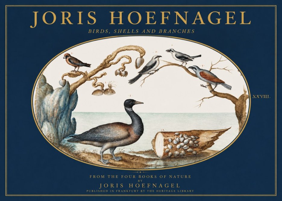 Joris Hoefnagel Birds, Shells and Branches No2 - Plakát