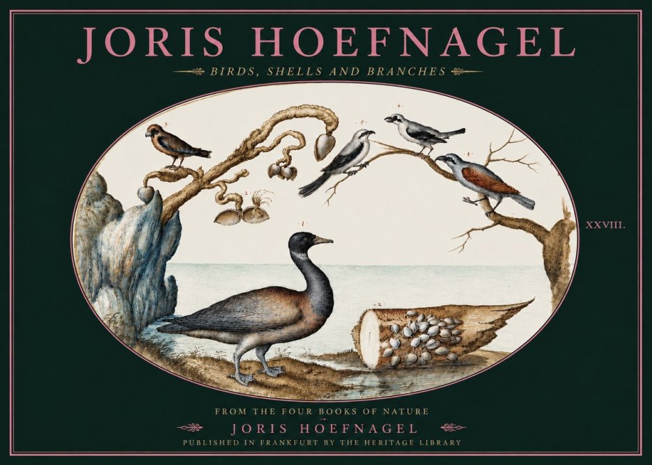Joris Hoefnagel Birds, Shells and Branches No4 - Plakát