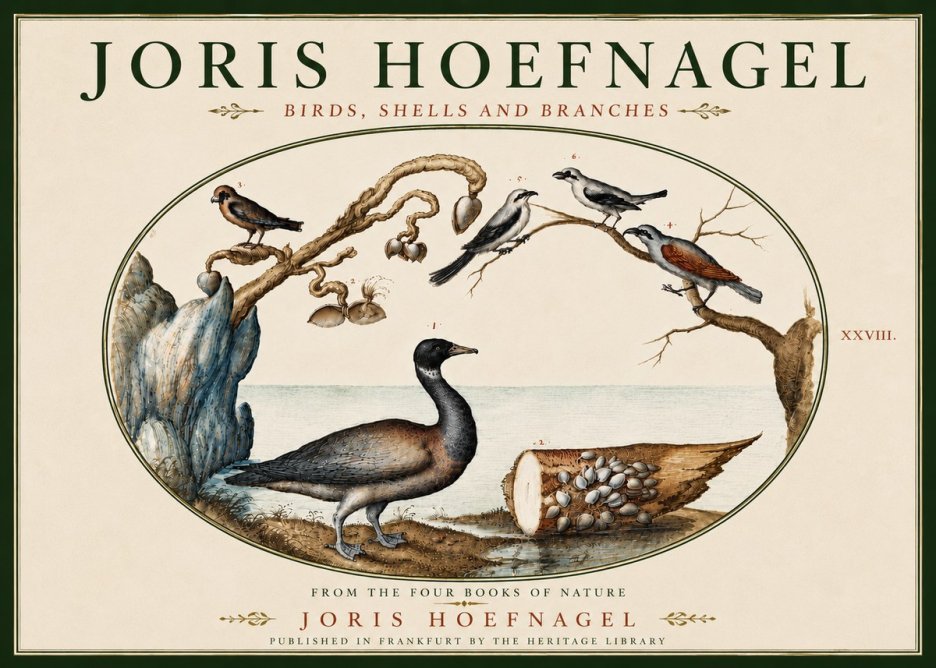 Joris Hoefnagel Birds, Shells and Branches No6 - Plakát
