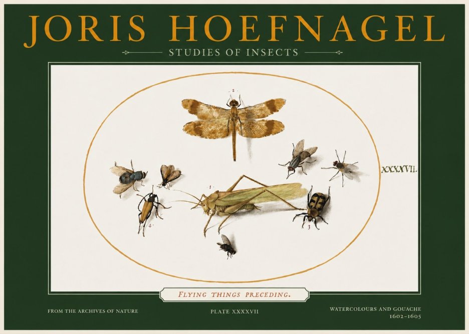Joris Hoefnagel Flying Things Preceding. No2 - Plakát