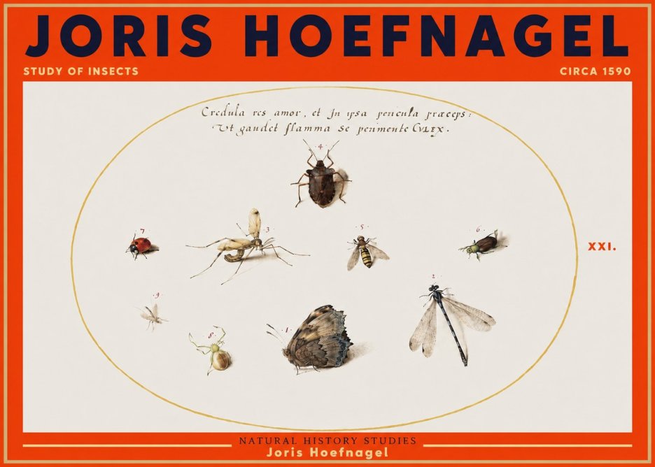 Joris Hoefnagel Study of Insects • Circa 1590 No3 - Plakát
