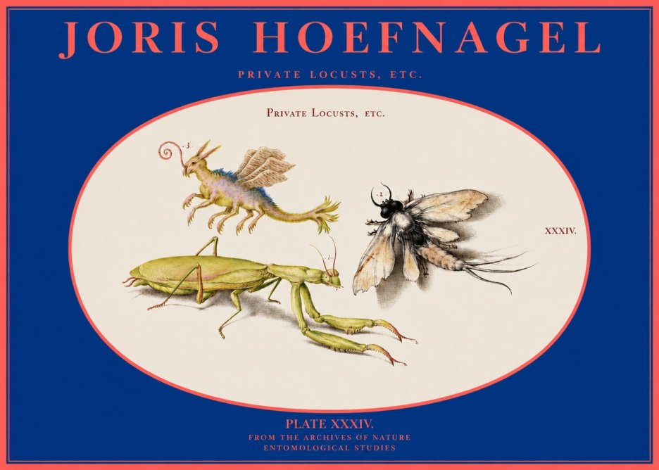 Joris Hoefnagel Privs Locvsta Bovem. No3 - Plakát