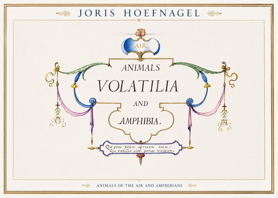 Joris Hoefnagel Animals Volatilia and Amphibia. No1 - Plakát