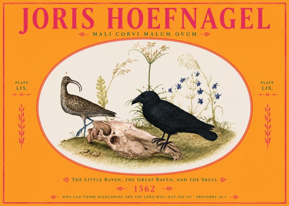 Joris Hoefnagel The Little Raven, the Great Raven, and the Skull No4 - Plakát