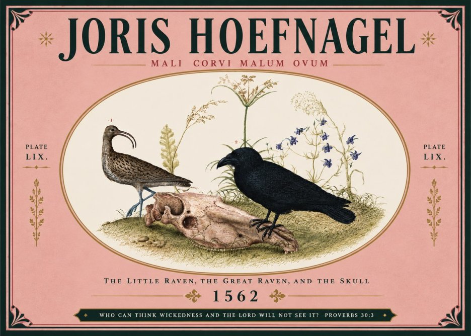 Joris Hoefnagel The Little Raven, the Great Raven, and the Skull No5 - Plakát