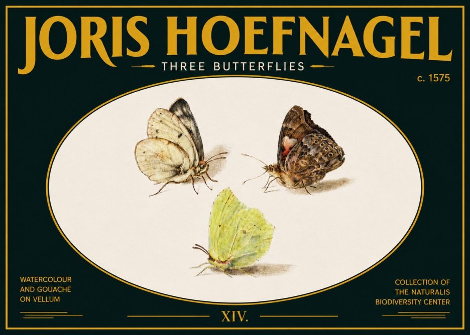 Joris Hoefnagel Three Butterflies II No5 - Plakát