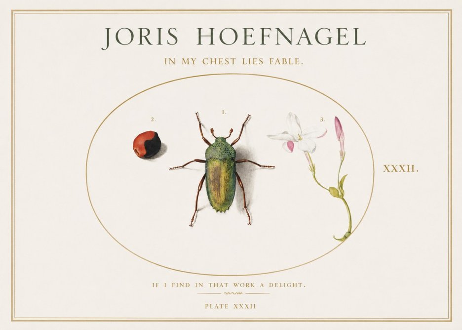Joris Hoefnagel In My Chest Lies Fable No1 - Plakát