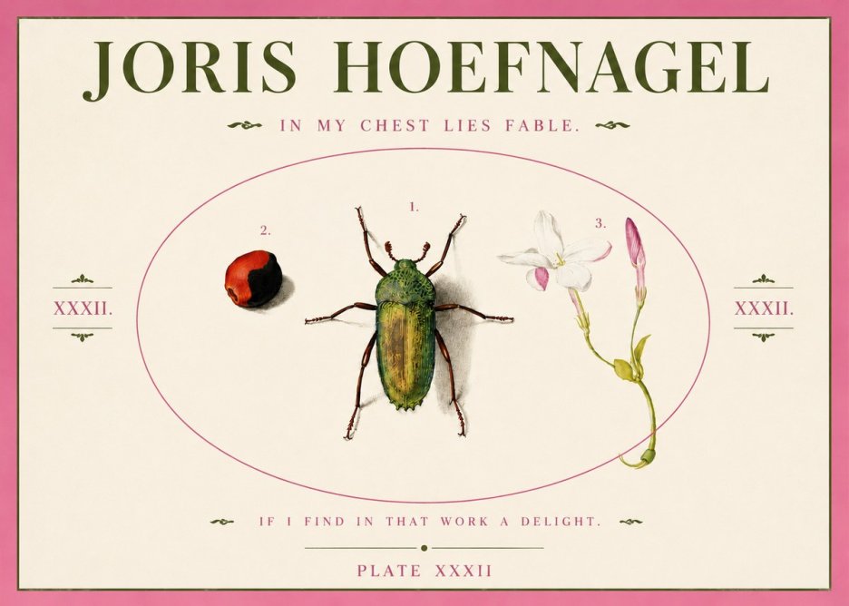 Joris Hoefnagel In My Chest Lies Fable No3 - Plakát