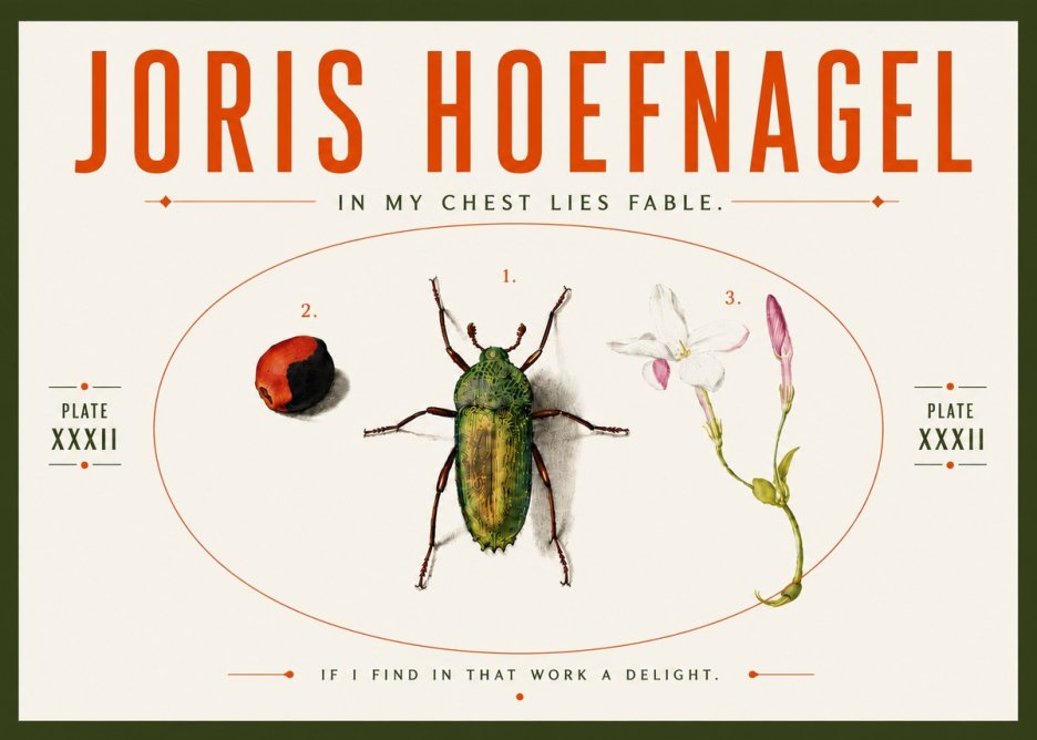 Joris Hoefnagel In My Chest Lies Fable No5 - Plakát
