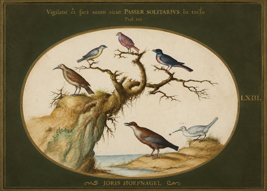 Joris Hoefnagel Vigilant Et Fact Suum Sicut Passer Solitarius in Tecto No1 - Plakát
