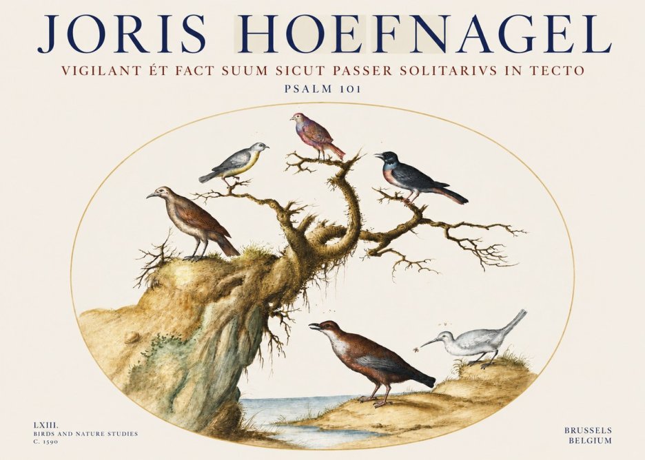 Joris Hoefnagel Vigilant Et Fact Suum Sicut Passer Solitarius in Tecto No3 - Plakát