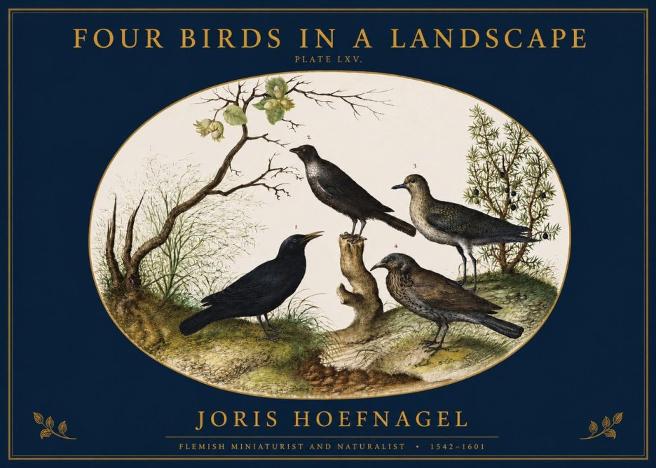 Joris Hoefnagel Four Birds in a Landscape No2 - Plakát