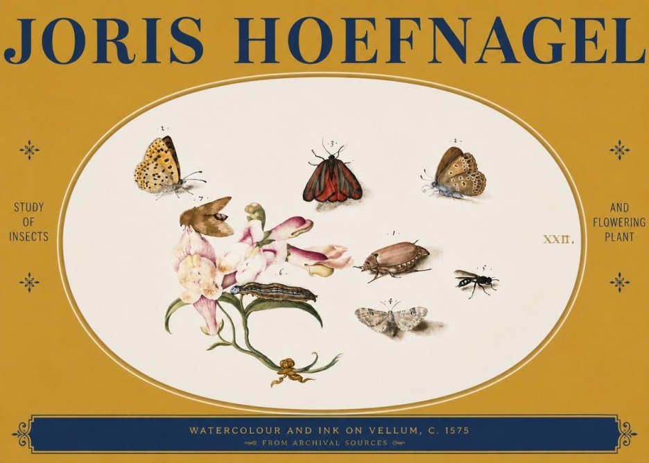 Joris Hoefnagel Study of Insects and Flowering Plant No3 - Plakát