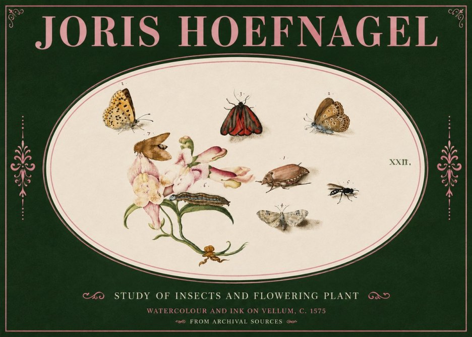 Joris Hoefnagel Study of Insects and Flowering Plant No4 - Plakát