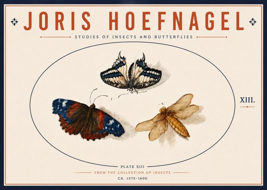 Joris Hoefnagel Studies of Insects - Plate Xiii No6 - Plakát