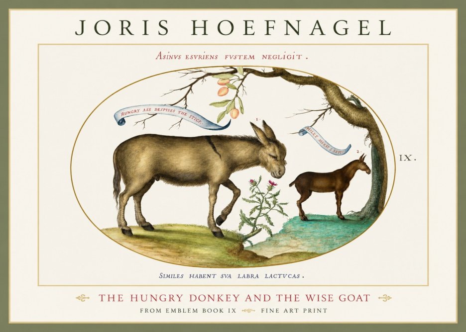 Joris Hoefnagel The Hungry Donkey and the Wise Goat No1 - Plakát