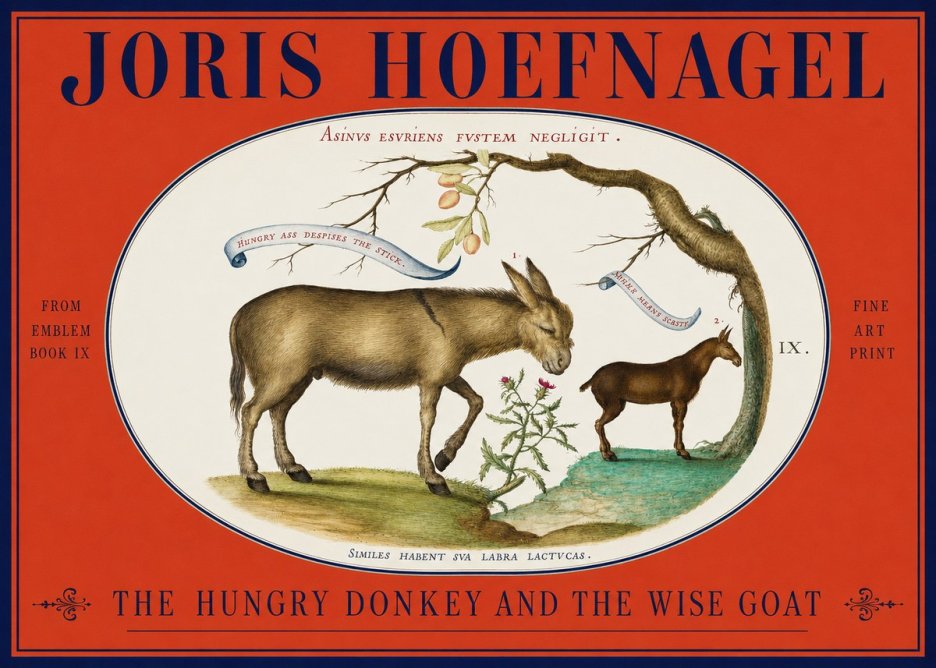 Joris Hoefnagel The Hungry Donkey and the Wise Goat No2 - Plakát