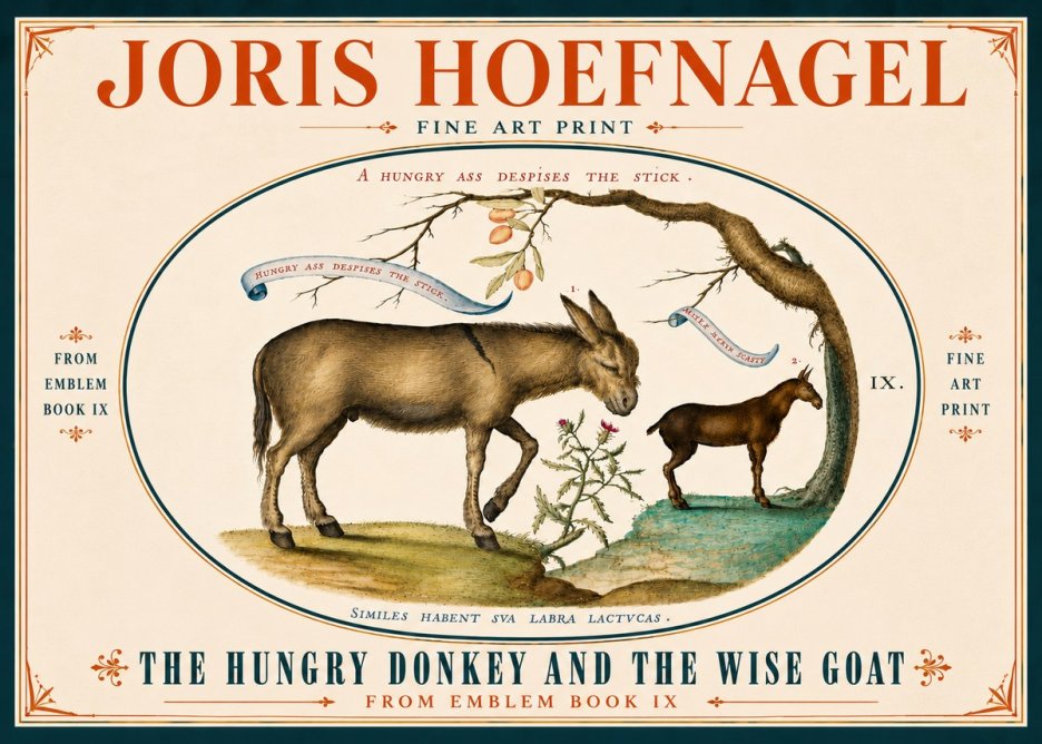 Joris Hoefnagel The Hungry Donkey and the Wise Goat No6 - Plakát