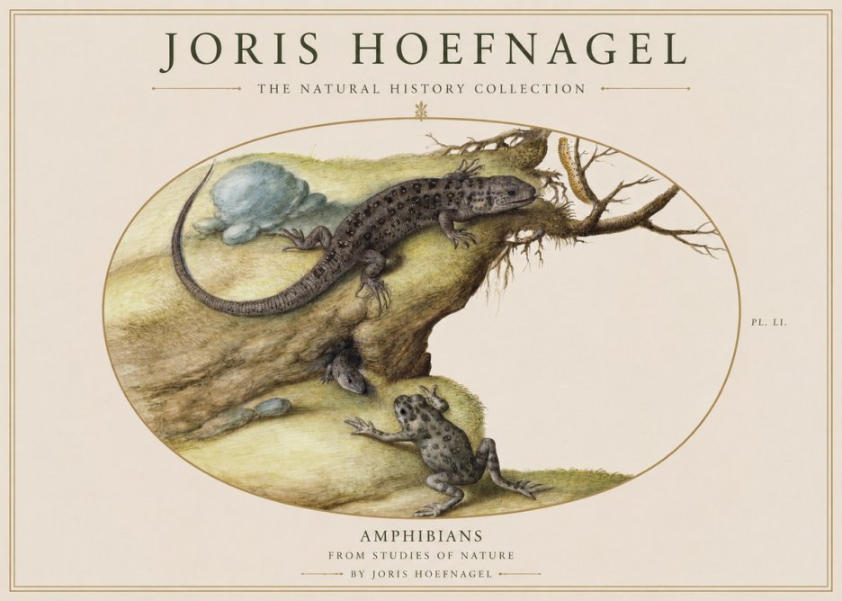 Joris Hoefnagel Amphibians from Studies of Nature No1 - Plakát