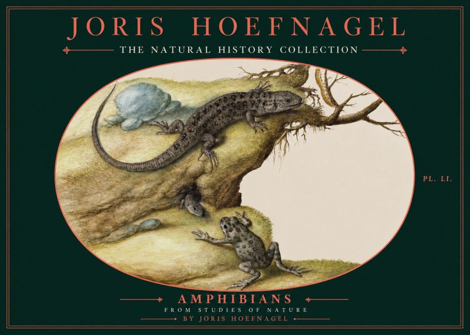 Joris Hoefnagel Amphibians from Studies of Nature No2 - Plakát