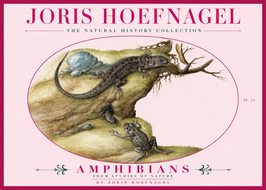 Joris Hoefnagel Amphibians from Studies of Nature No3 - Plakát