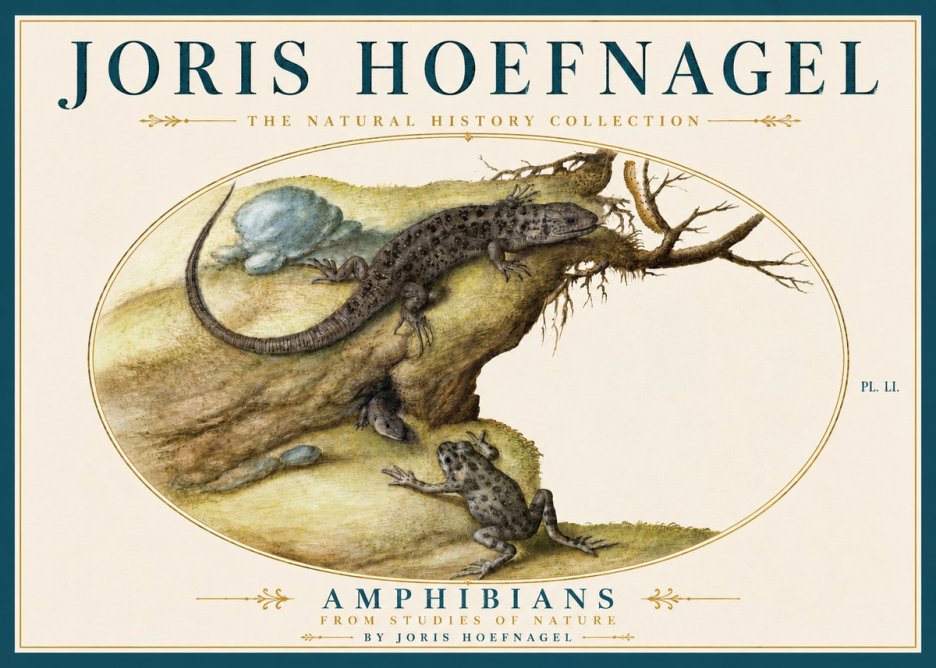 Joris Hoefnagel Amphibians from Studies of Nature No5 - Plakát
