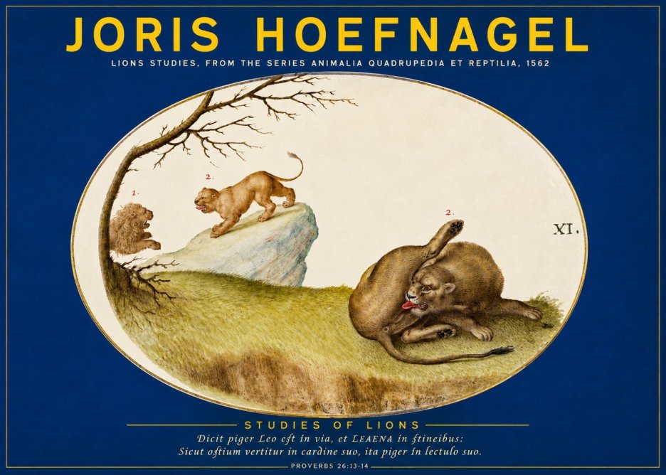 Joris Hoefnagel Lions Studies No2 - Plakát