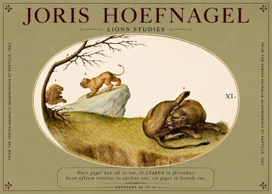 Joris Hoefnagel Lions Studies No4 - Plakát