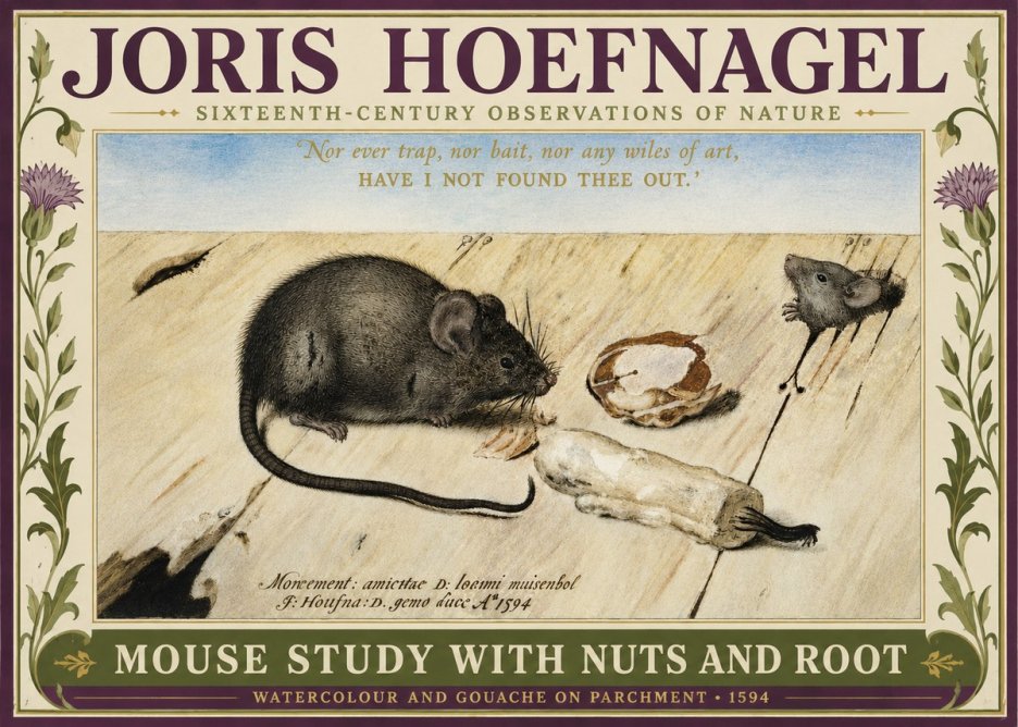 Joris Hoefnagel Mouse Study with Nuts and Root No3 - Plakát