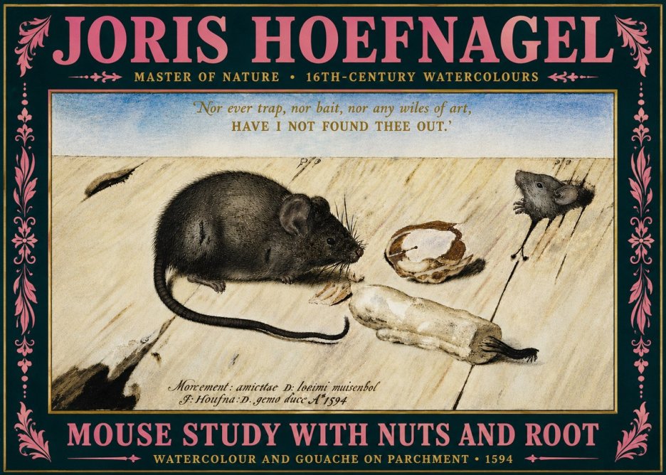 Joris Hoefnagel Mouse Study with Nuts and Root No5 - Plakát