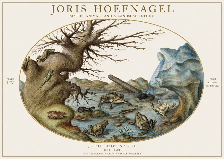 Joris Hoefnagel Sixtties Animals and a Landscape Study No1 - Plakát