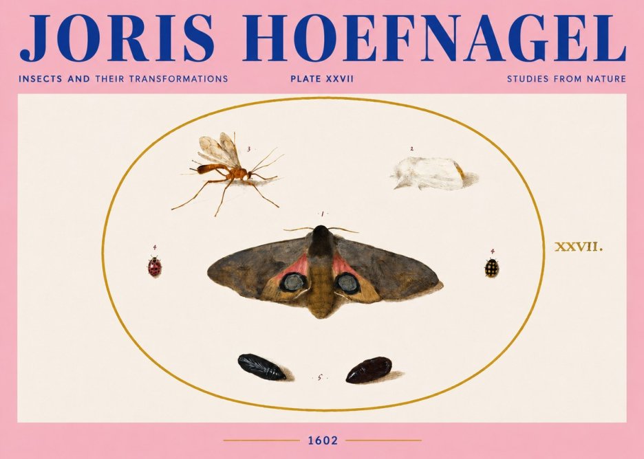 Joris Hoefnagel Insects and Their Transformations - Plate Xxvii No4 - Plakát